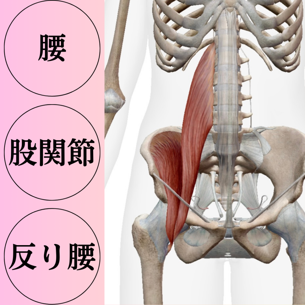 腸腰筋ストレッチ