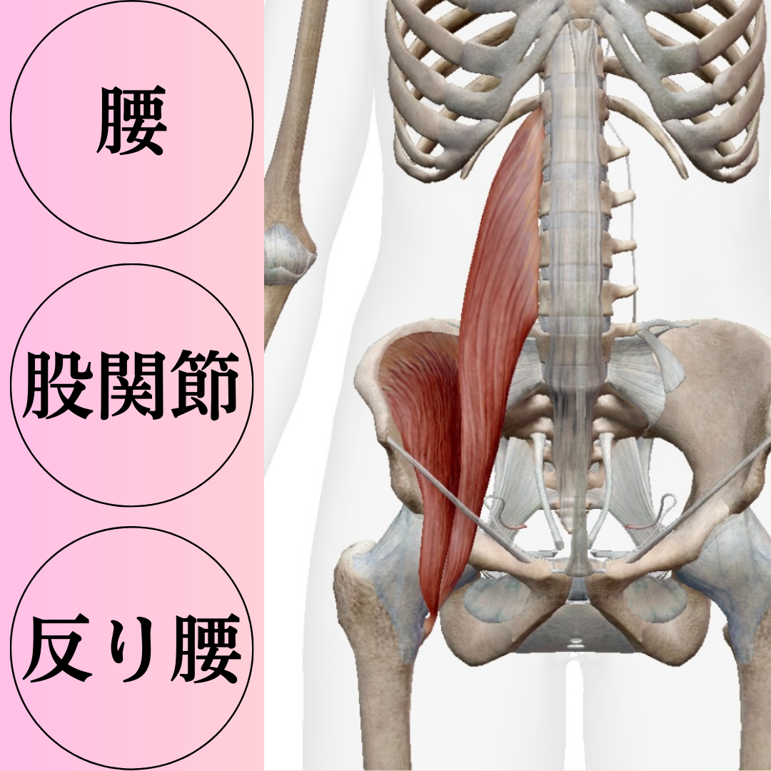 腸腰筋ストレッチ