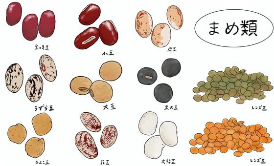 豆類